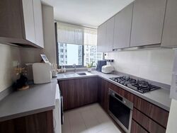 Parc Life (D27), Condominium #636581981